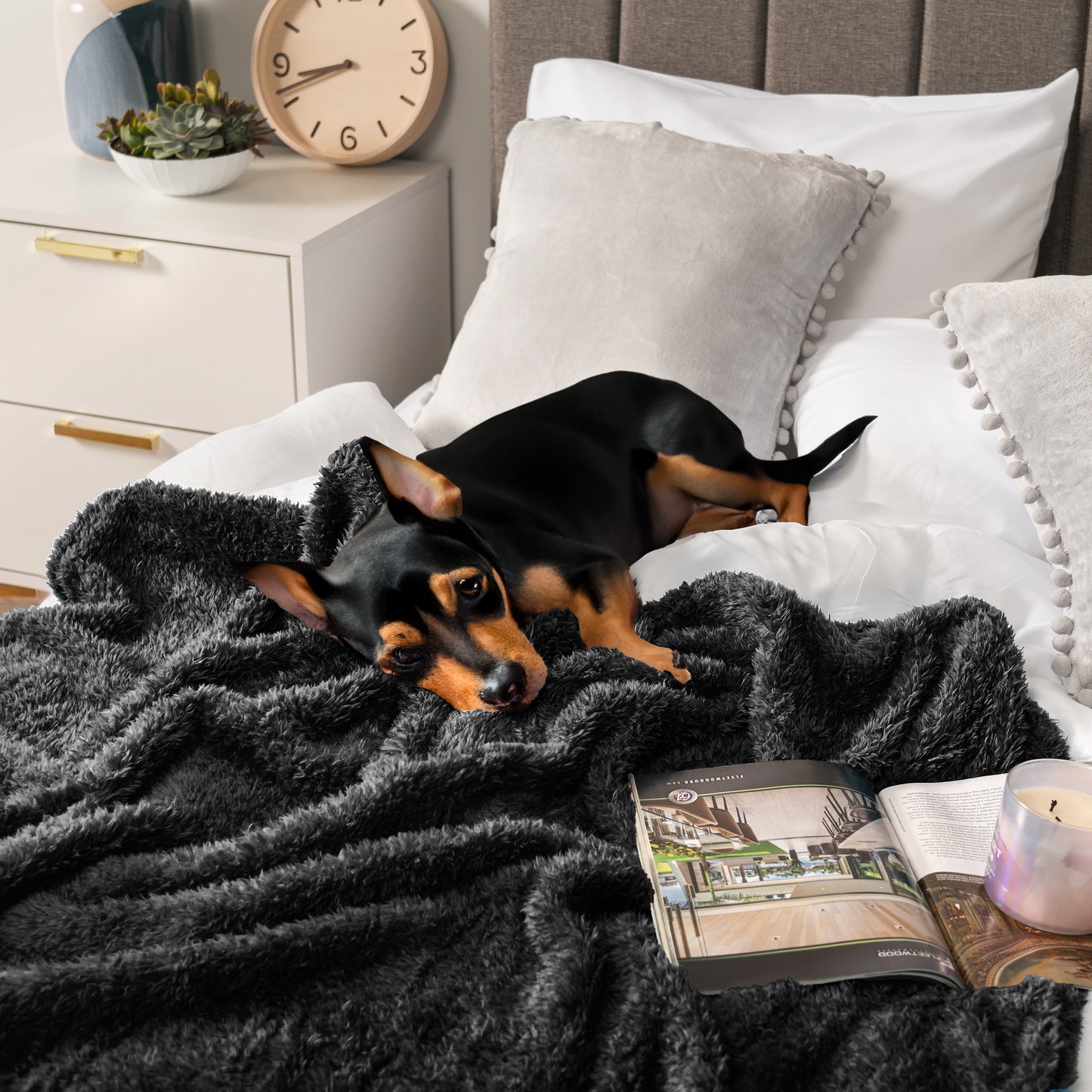 Plush Shaggy Sherpa Blanket