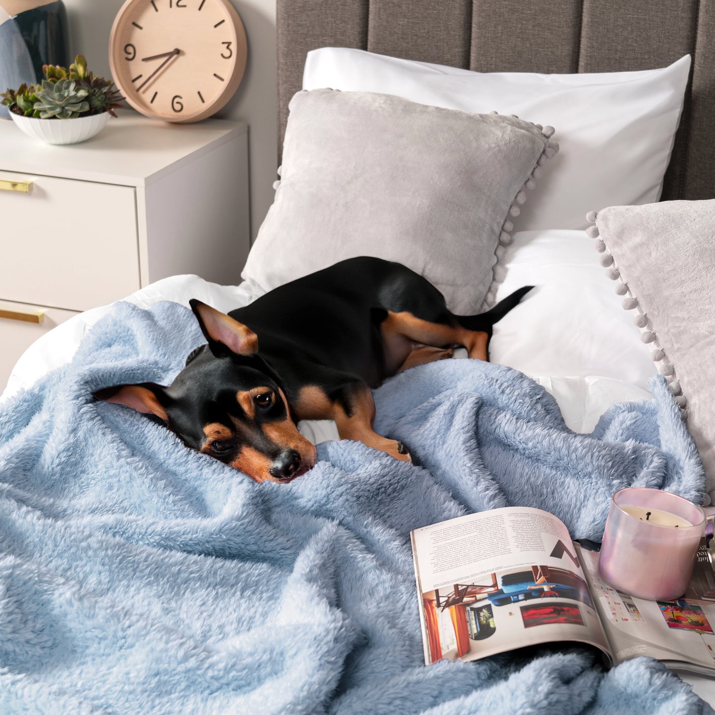 Plush Shaggy Sherpa Blanket