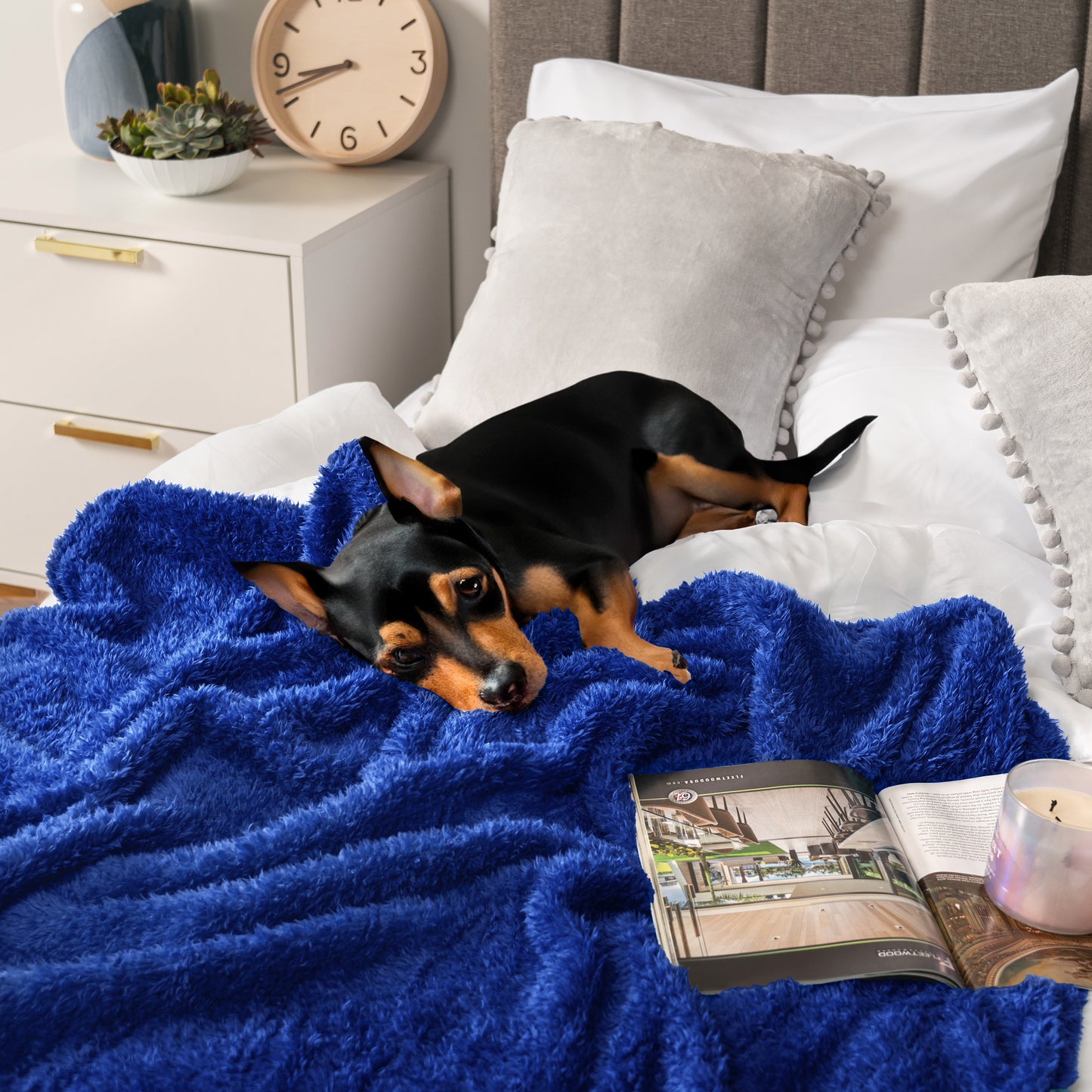 Plush Shaggy Sherpa Blanket