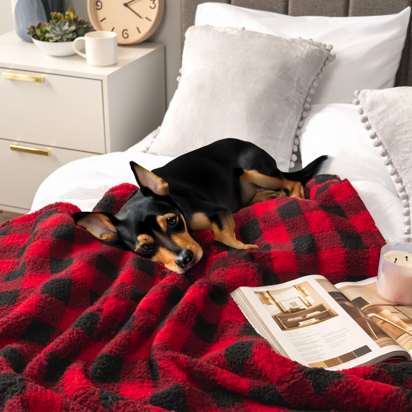 Plush Shaggy Sherpa Blanket