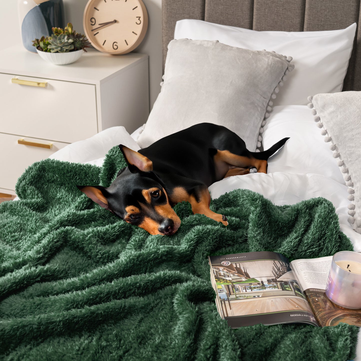 Plush Shaggy Sherpa Blanket