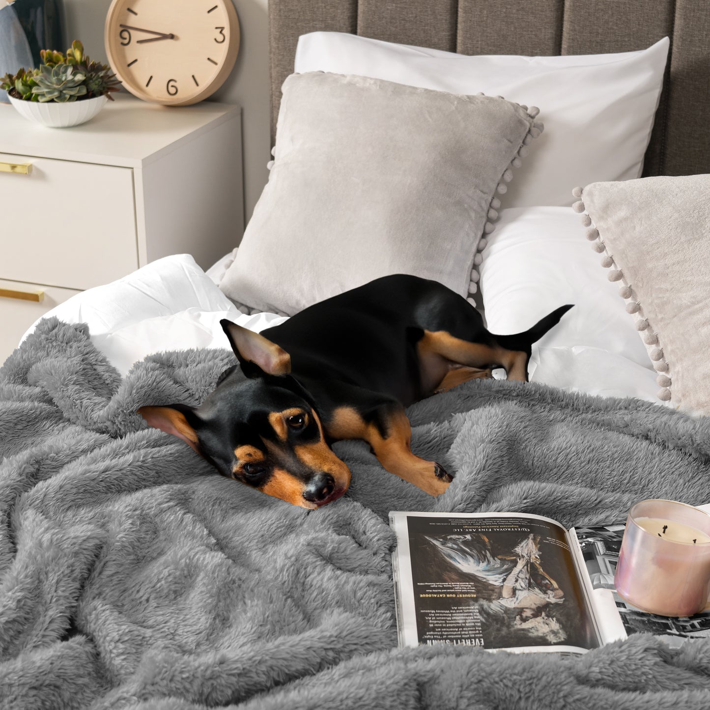 Plush Shaggy Sherpa Blanket