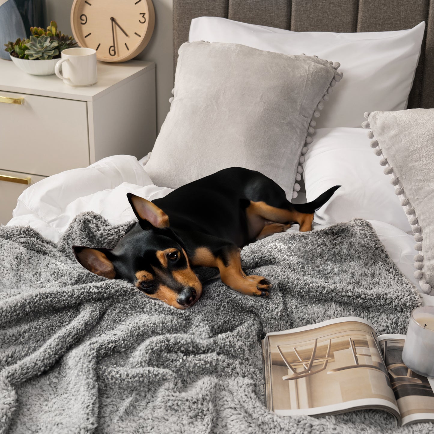 Plush Shaggy Sherpa Blanket