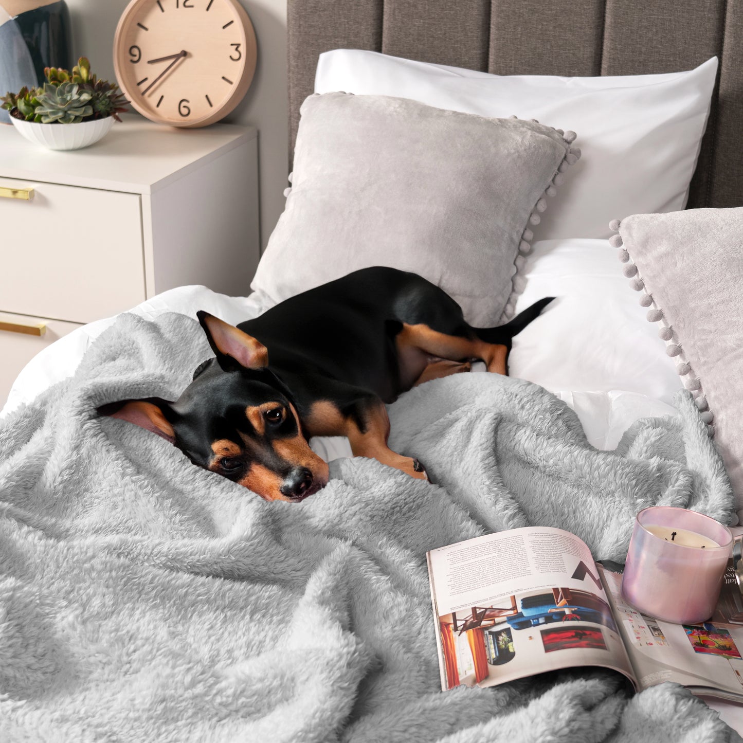 Plush Shaggy Sherpa Blanket