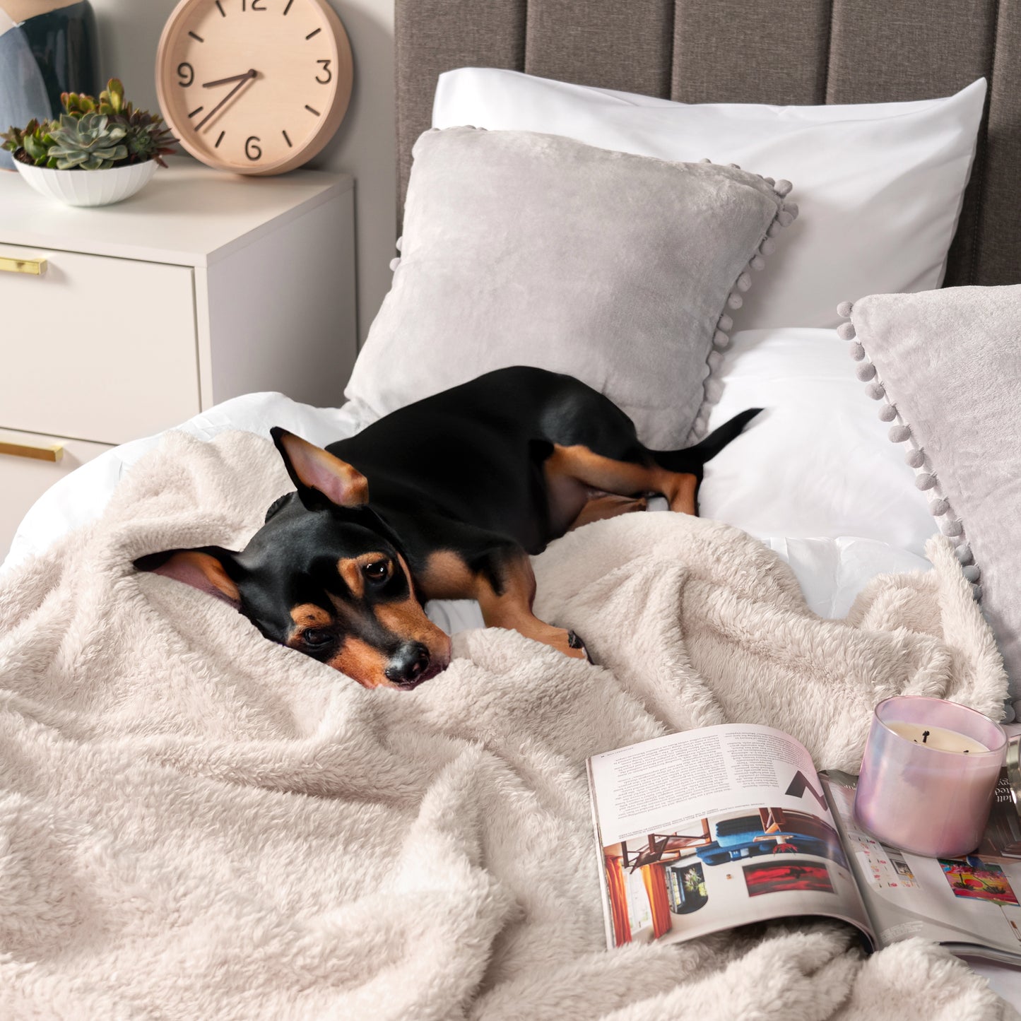 Plush Shaggy Sherpa Blanket