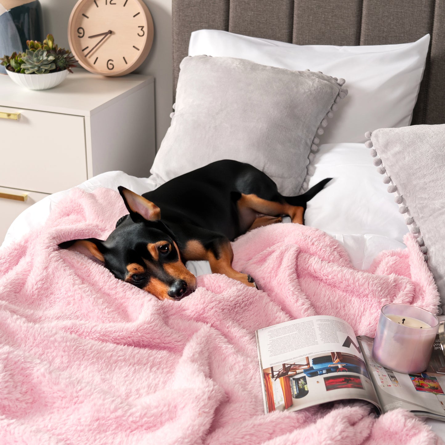 Plush Shaggy Sherpa Blanket