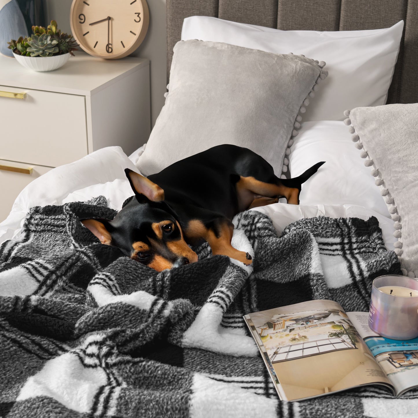 Plush Shaggy Sherpa Blanket