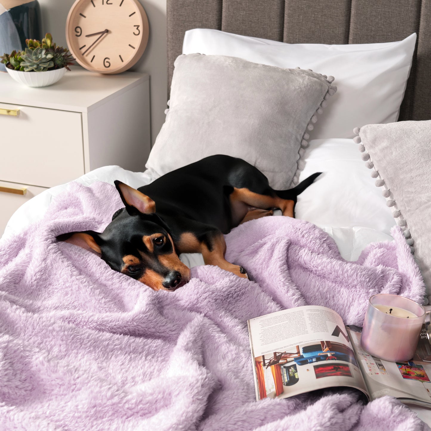 Plush Shaggy Sherpa Blanket