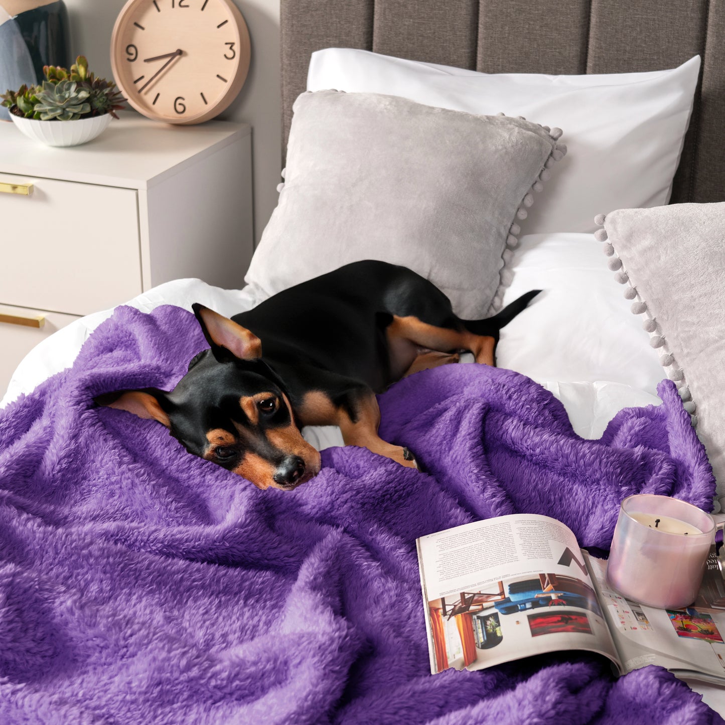 Plush Shaggy Sherpa Blanket