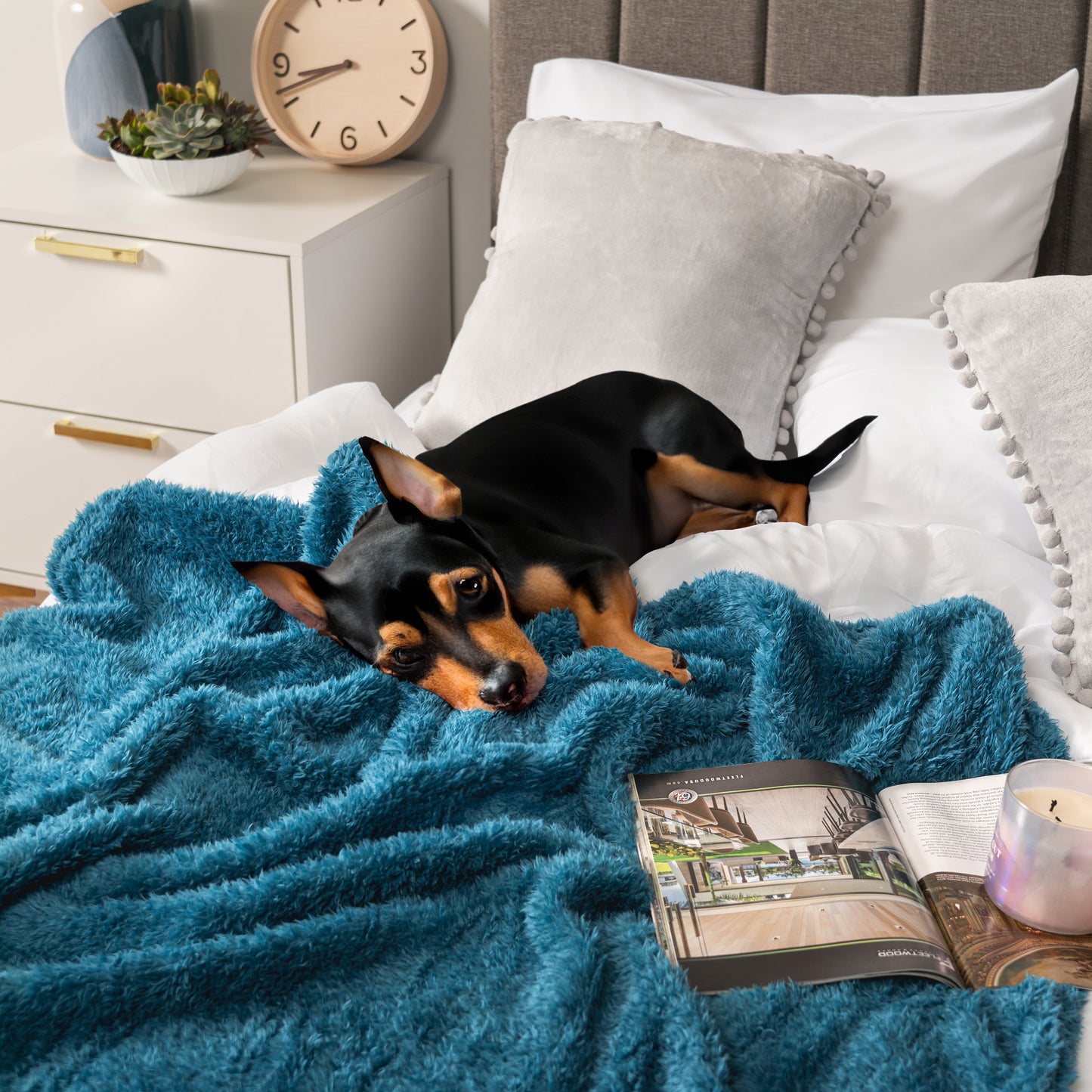 Plush Shaggy Sherpa Blanket