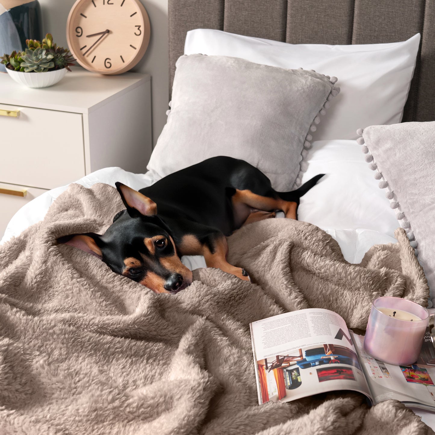 Plush Shaggy Sherpa Blanket