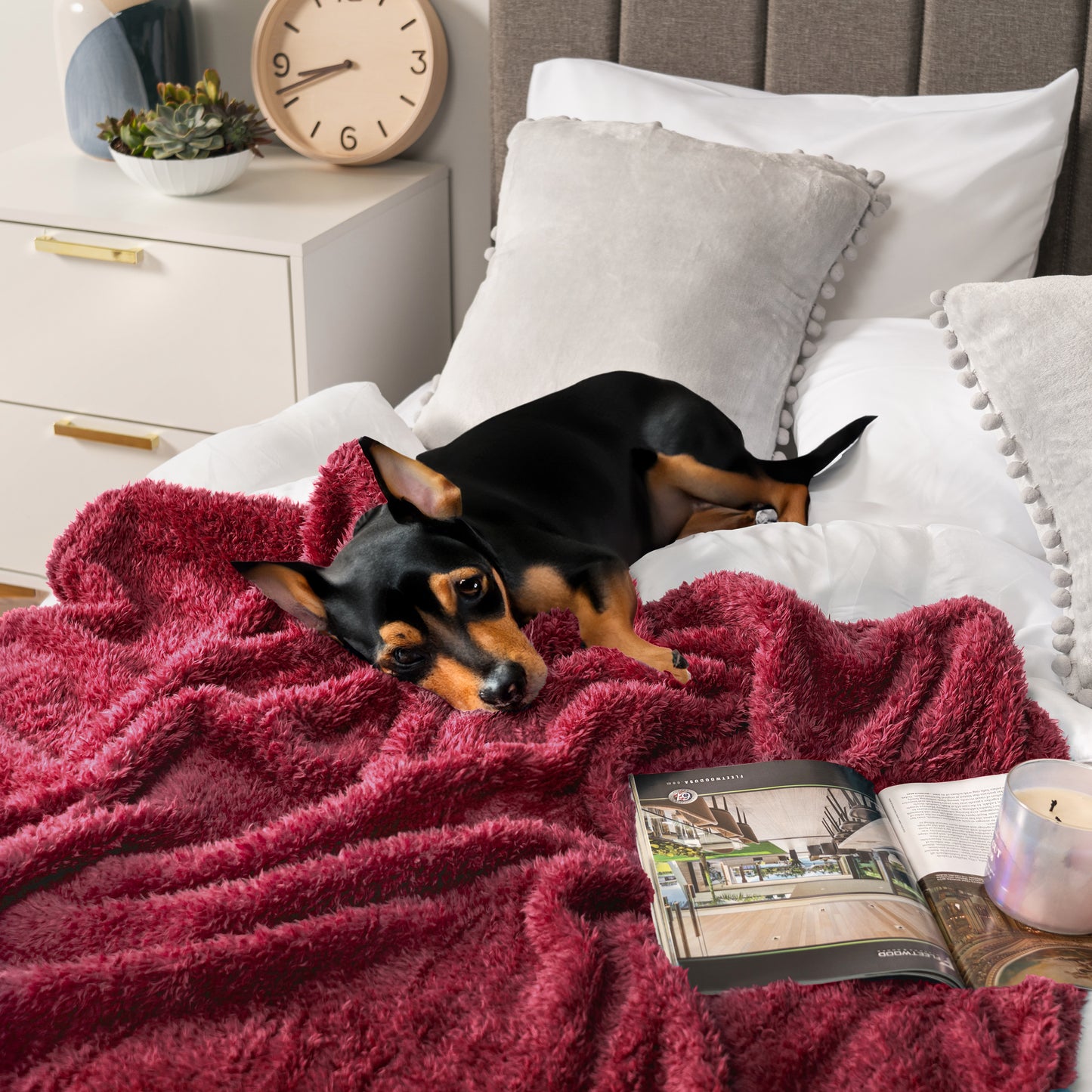 Plush Shaggy Sherpa Blanket