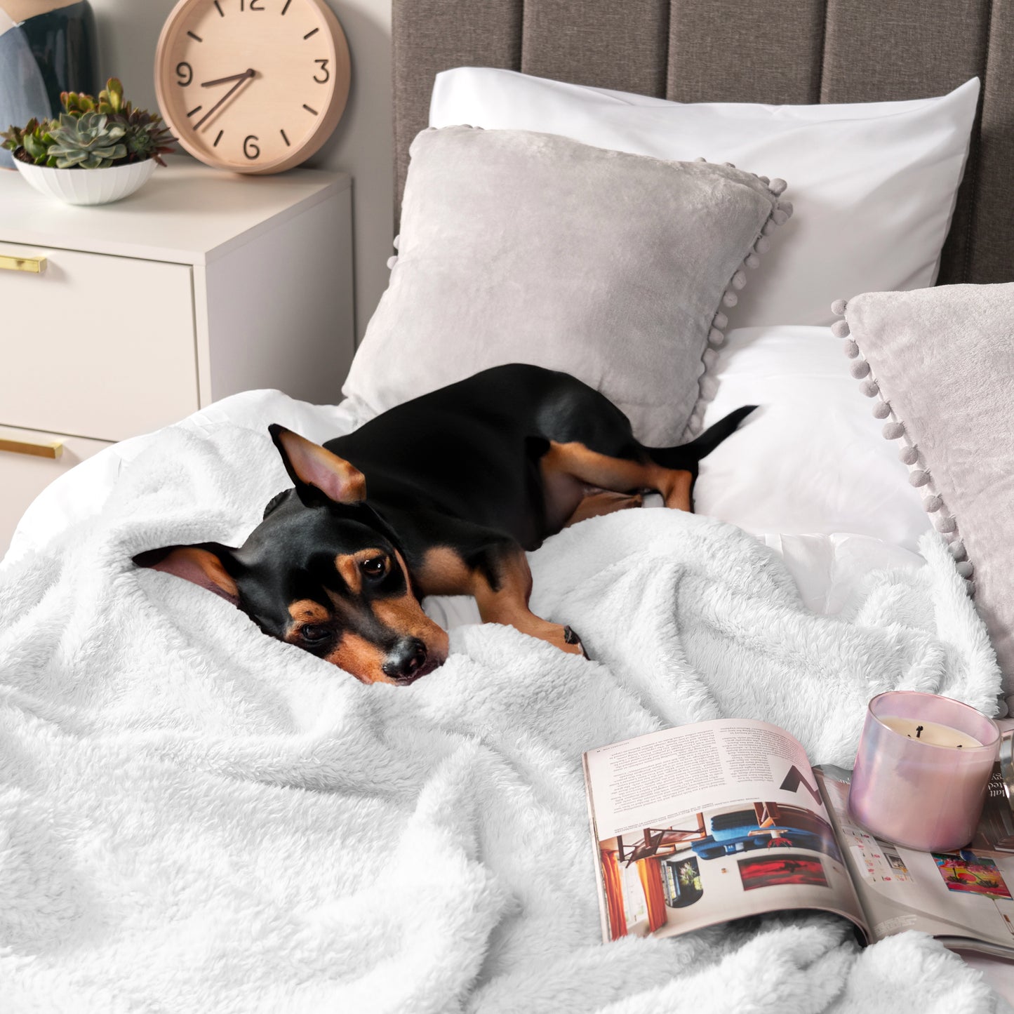 Plush Shaggy Sherpa Blanket