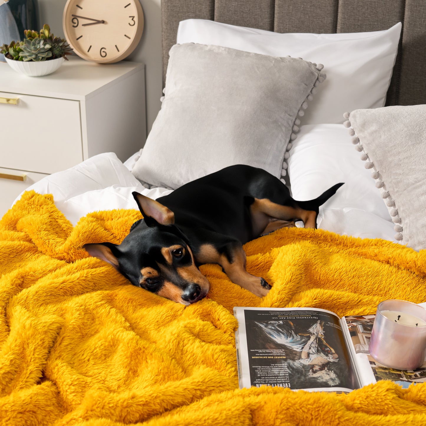 Plush Shaggy Sherpa Blanket